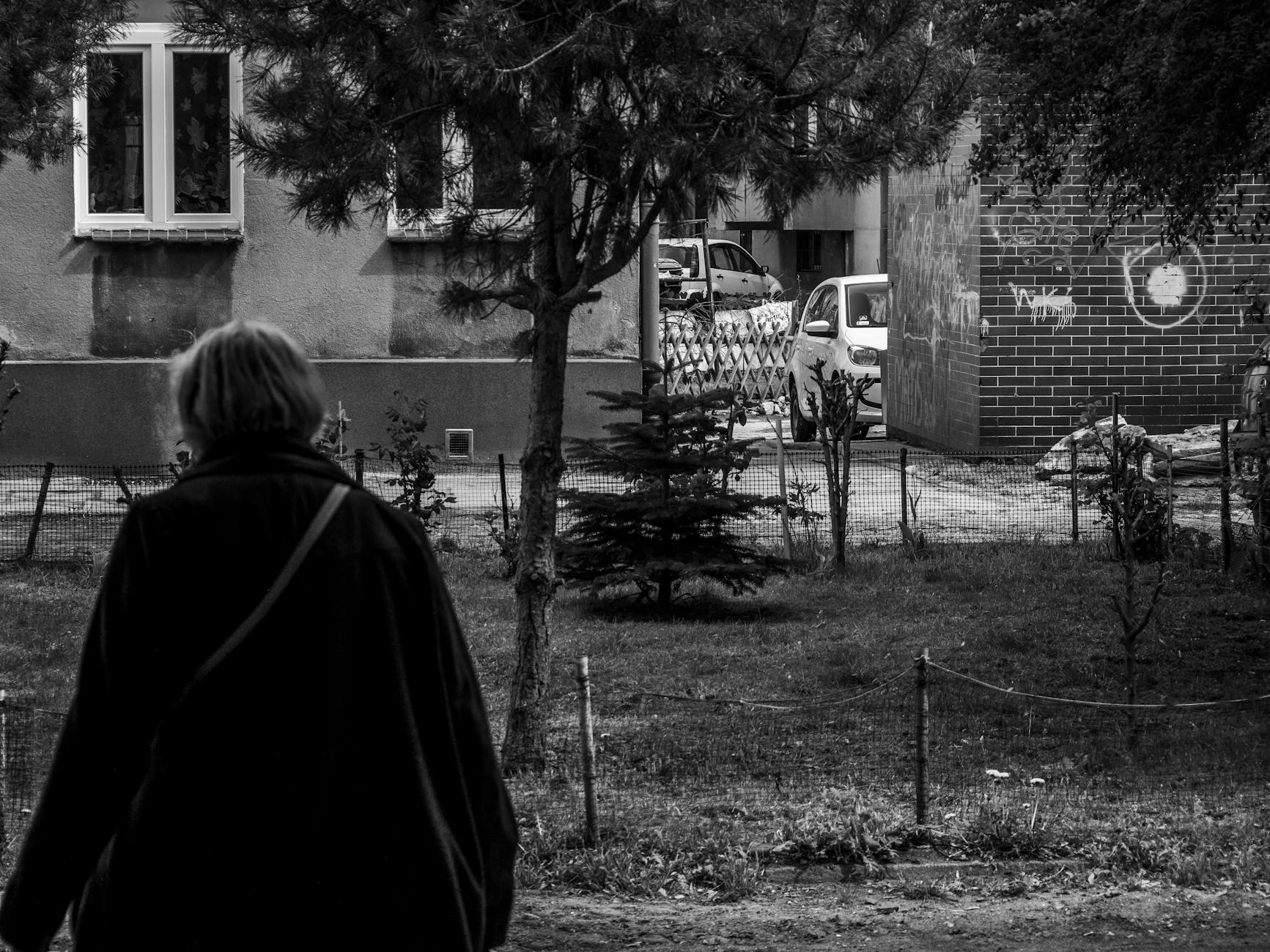 Panorama Włodawy z widokiem na jezioro i zabytkowe budynki