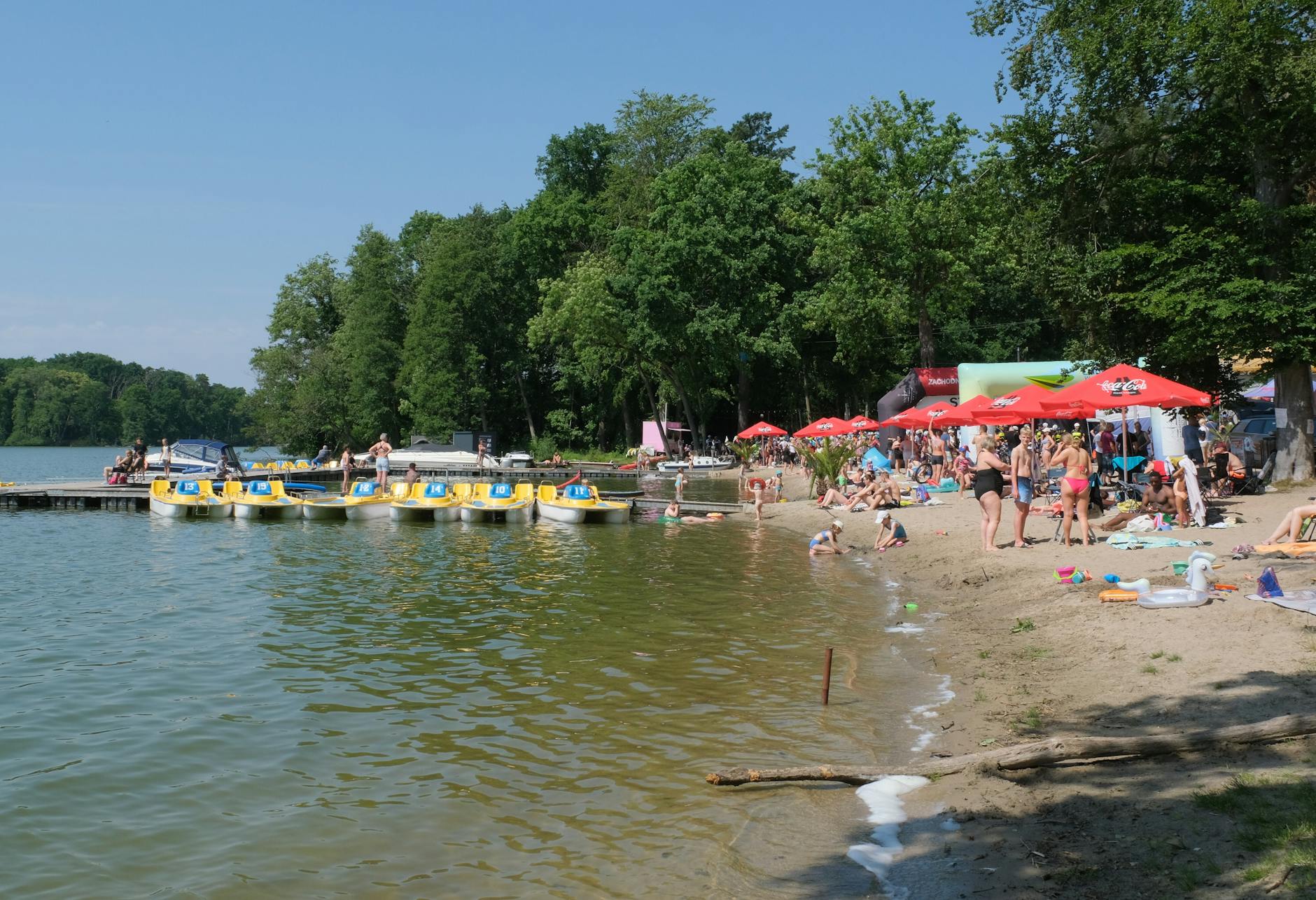 Malowniczy widok na Rynek Włodawski podczas wiosennego dnia