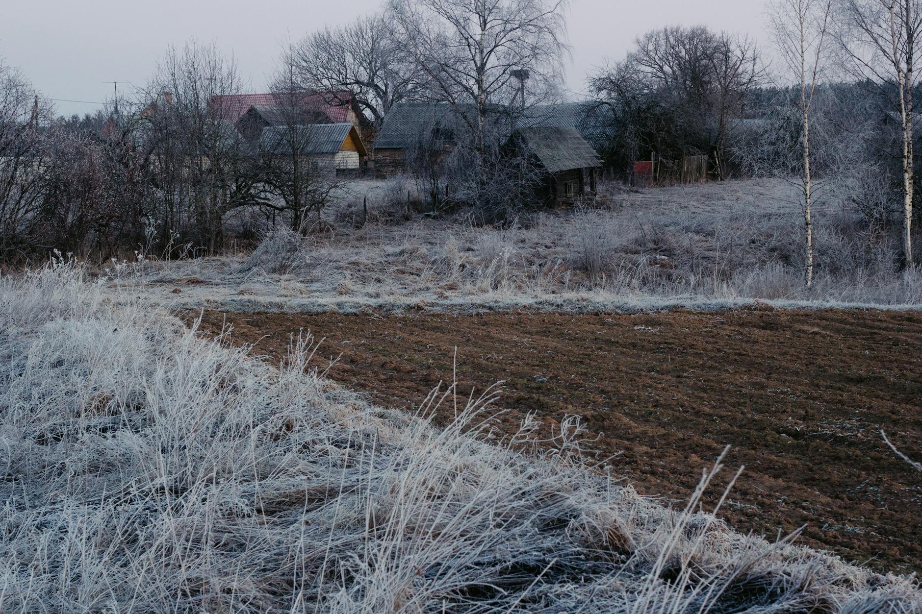 Osoba sadząca młodą roślinę w ogrodzie przy słonecznej, wiosennej pogodzie we Włodawie.